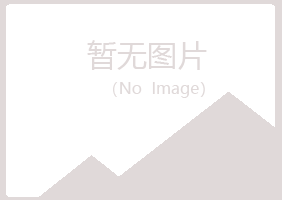 五大连池忆伤工程有限公司